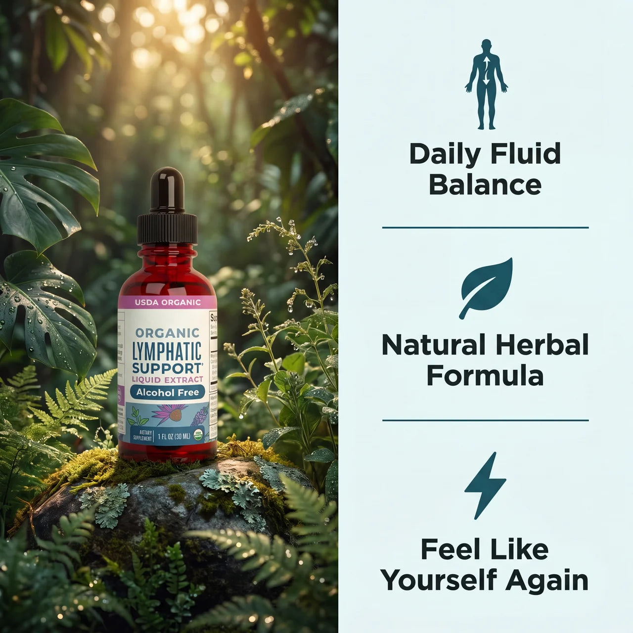 Eleven Herbs Lymphatic Drops