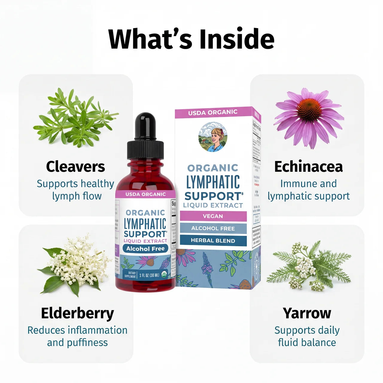 Eleven Herbs Lymphatic Drops